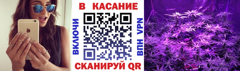 Продажа наркотиков Новотитаровская Канабис  кракен зеркало  КОКАИН  Гашиш  МЕФ 